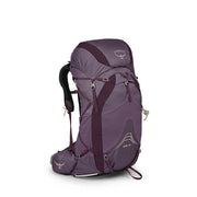 Purple Dusk